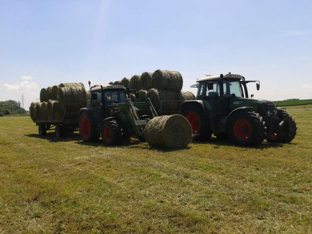 Tracteurs récupérant les meules de foin